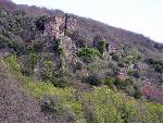 Photo 003.jpg